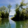 crue du lac de Neuchâtel, mai 2015