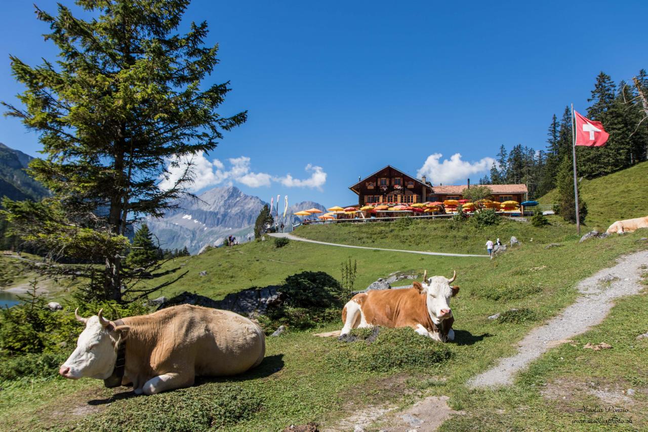 au lac d'Oeschinen